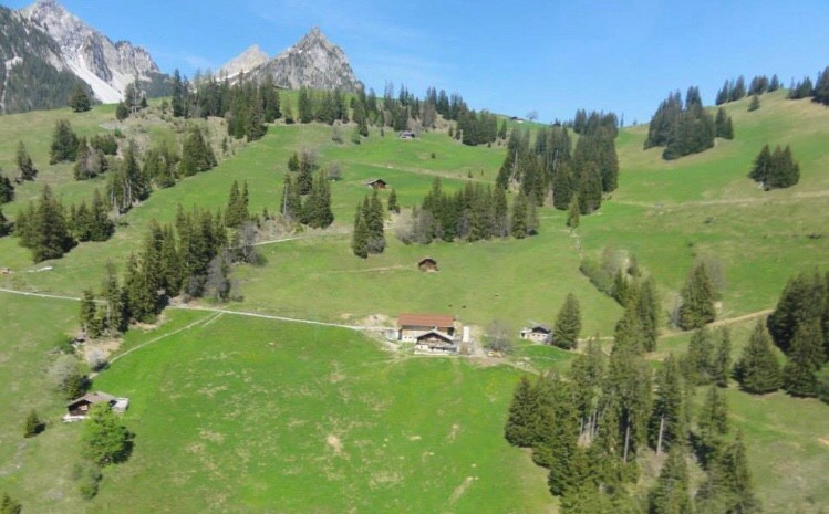 zoja-aegerter-schweizer-heimat-st.stephan